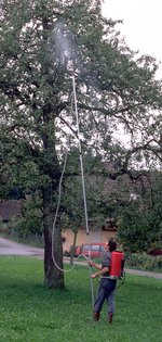 Spritzen von Baumkronen
