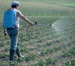 Rückenspritze mit ab Akku betriebener Membranpumpe 